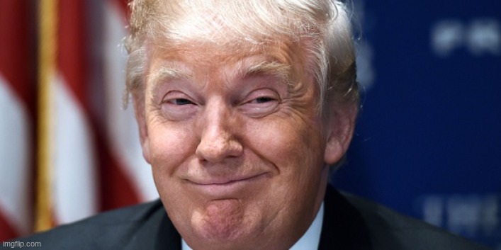 Trump Smirk | image tagged in trump smirk | made w/ Imgflip meme maker