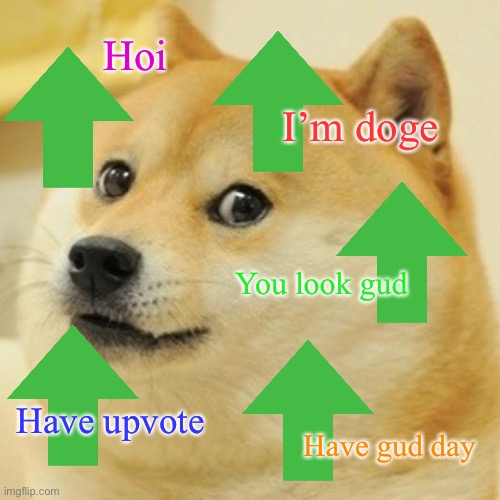 Hab upvote :D | Hoi; I’m doge; You look gud; Have upvote; Have gud day | image tagged in memes,doge | made w/ Imgflip meme maker