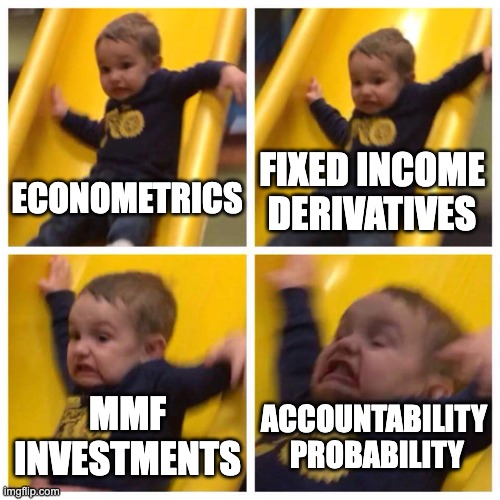 MafinRisk | FIXED INCOME
DERIVATIVES; ECONOMETRICS; MMF
INVESTMENTS; ACCOUNTABILITY 
PROBABILITY | image tagged in kid falling down slide | made w/ Imgflip meme maker