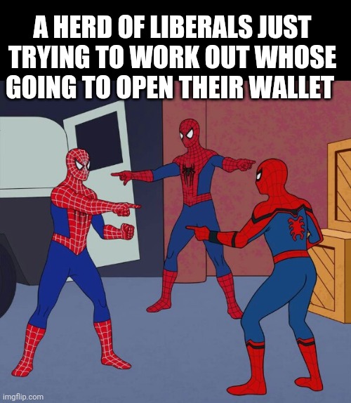 Spider Man Triple | A HERD OF LIBERALS JUST TRYING TO WORK OUT WHOSE GOING TO OPEN THEIR WALLET | image tagged in spider man triple | made w/ Imgflip meme maker