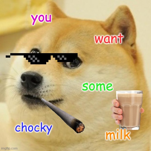 Doge Meme | you; want; some; chocky; milk | image tagged in memes,doge | made w/ Imgflip meme maker