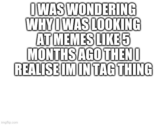Blank White Template | I WAS WONDERING WHY I WAS LOOKING AT MEMES LIKE 5 MONTHS AGO THEN I REALISE IM IN TAG THING | image tagged in blank white template | made w/ Imgflip meme maker