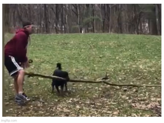 No title | made w/ Imgflip meme maker