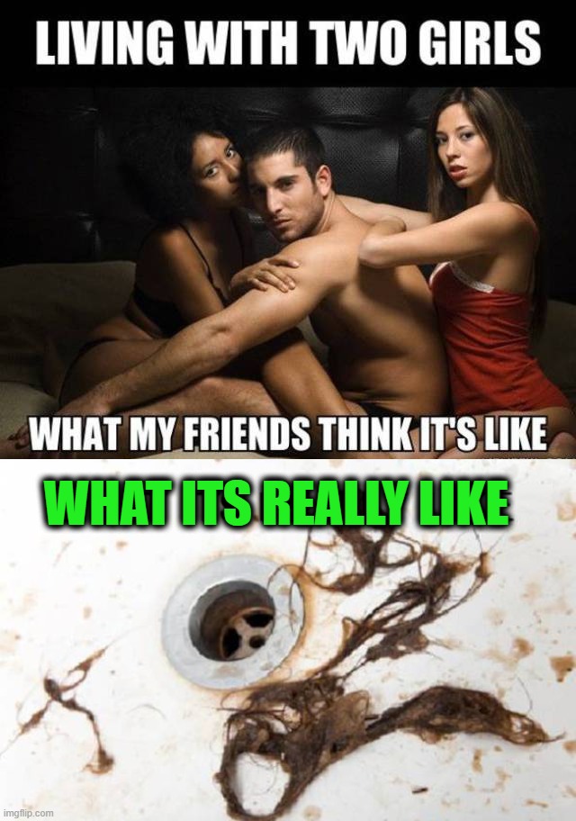 WHAT ITS REALLY LIKE | image tagged in living,girls | made w/ Imgflip meme maker