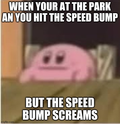 screaming speed bump | WHEN YOUR AT THE PARK AN YOU HIT THE SPEED BUMP; BUT THE SPEED BUMP SCREAMS | image tagged in kirby | made w/ Imgflip meme maker