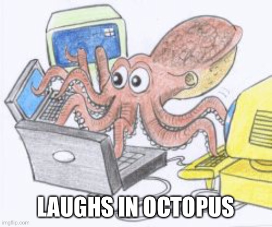 octopus | LAUGHS IN OCTOPUS | image tagged in octopus | made w/ Imgflip meme maker