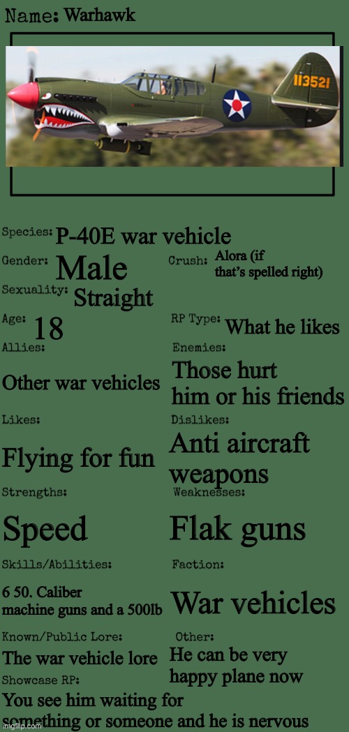 New OC showcase for RP stream | Warhawk; P-40E war vehicle; Alora (if that’s spelled right); Male; Straight; 18; What he likes; Other war vehicles; Those hurt him or his friends; Anti aircraft weapons; Flying for fun; Flak guns; Speed; 6 50. Caliber machine guns and a 500lb; War vehicles; The war vehicle lore; He can be very happy plane now; You see him waiting for something or someone and he is nervous | image tagged in new oc showcase for rp stream | made w/ Imgflip meme maker