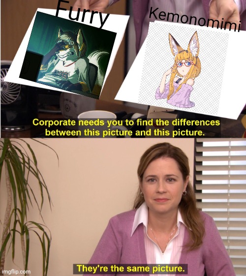 Furries vs kemonomimi | Furry; Kemonomimi | image tagged in memes,they're the same picture,furries,kemonomimi | made w/ Imgflip meme maker