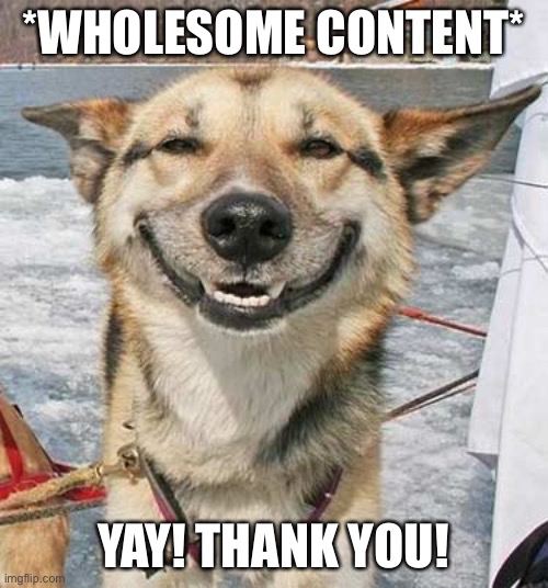 Happy Dog | *WHOLESOME CONTENT* YAY! THANK YOU! | image tagged in happy dog | made w/ Imgflip meme maker