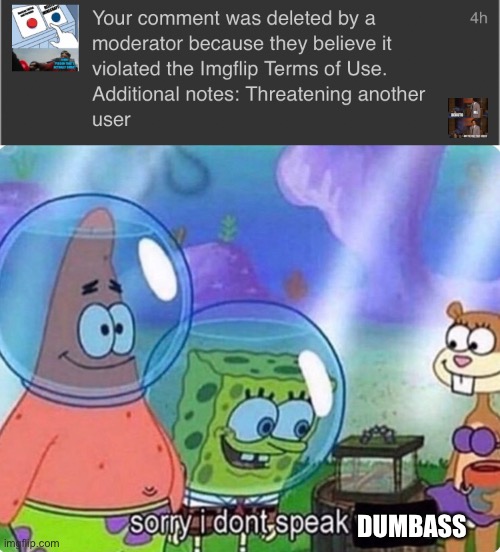 Luckily I’m not banned | DUMBASS | image tagged in sorry i don't speak wrong | made w/ Imgflip meme maker