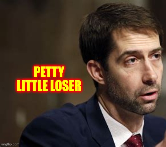 Cotton Shrinks | PETTY LITTLE LOSER | image tagged in memes,loser,petty,pathetic,hypocrite,cry baby | made w/ Imgflip meme maker