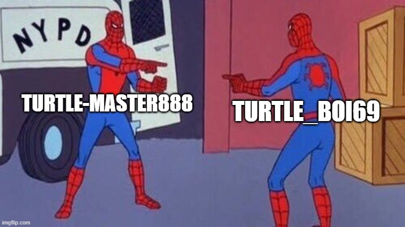 spiderman pointing at spiderman | TURTLE-MASTER888 TURTLE_BOI69 | image tagged in spiderman pointing at spiderman | made w/ Imgflip meme maker