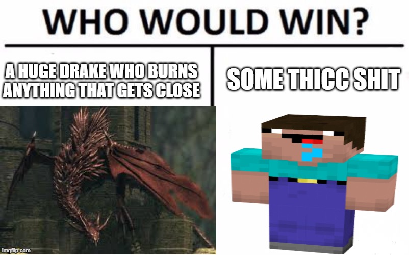 Hellkite vs noob | SOME THICC SHIT; A HUGE DRAKE WHO BURNS ANYTHING THAT GETS CLOSE | image tagged in funny,dark souls,noob | made w/ Imgflip meme maker