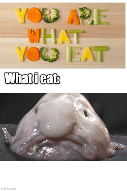 You are what you eat | What i eat: | image tagged in blank white template,you are what you eat,ugly,funny,memes,funny memes | made w/ Imgflip meme maker