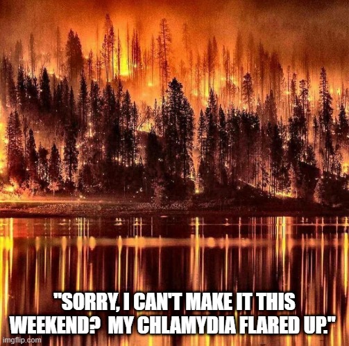 Chlamydia Flare up | "SORRY, I CAN'T MAKE IT THIS WEEKEND?  MY CHLAMYDIA FLARED UP." | image tagged in flare up,chlamydia | made w/ Imgflip meme maker