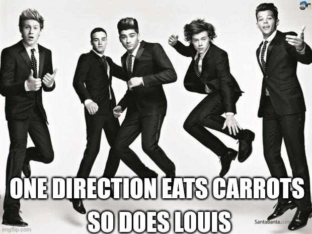 Carrot meme | ONE DIRECTION EATS CARROTS; SO DOES LOUIS | image tagged in one direction | made w/ Imgflip meme maker