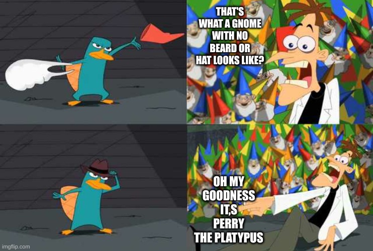 An ordinary Platypus? | THAT'S WHAT A GNOME WITH NO BEARD OR HAT LOOKS LIKE? OH MY GOODNESS IT,S PERRY THE PLATYPUS | image tagged in an ordinary platypus | made w/ Imgflip meme maker