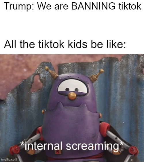 scary internal screaming | Trump: We are BANNING tiktok; All the tiktok kids be like: | image tagged in scary internal screaming | made w/ Imgflip meme maker