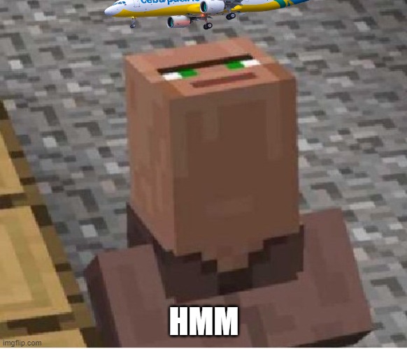 hmm yes plane | HMM | image tagged in minecraft villager looking up | made w/ Imgflip meme maker
