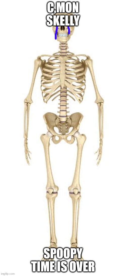 Human anatomy | C,MON SKELLY; SPOOPY TIME IS OVER | image tagged in human anatomy | made w/ Imgflip meme maker