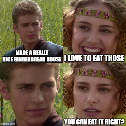 It's the best time of the year. | MADE A REALLY NICE GINGERBREAD HOUSE; I LOVE TO EAT THOSE; YOU CAN EAT IT RIGHT? | image tagged in anakin padme 4 panel,gingerbread,house,candy,christmas,xmas | made w/ Imgflip meme maker