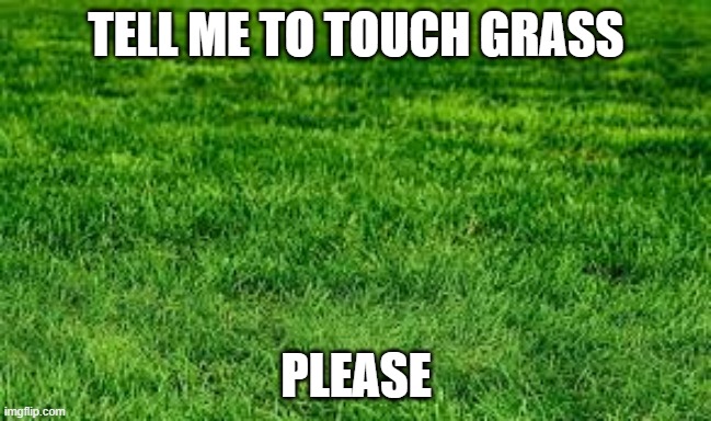 When people tell me to touch grass 