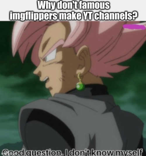 You could put your memes on YT and get monetized after a while. After all, you already have the fanbase. | Why don't famous imgflippers make YT channels? | image tagged in good question i don't know myself,so true memes,memes | made w/ Imgflip meme maker