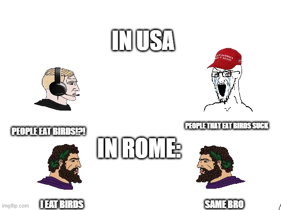 MEME | IN USA; PEOPLE THAT EAT BIRDS SUCK; PEOPLE EAT BIRDS!?! IN ROME:; I EAT BIRDS; SAME BRO | image tagged in blank white template,nooo haha go brrr | made w/ Imgflip meme maker