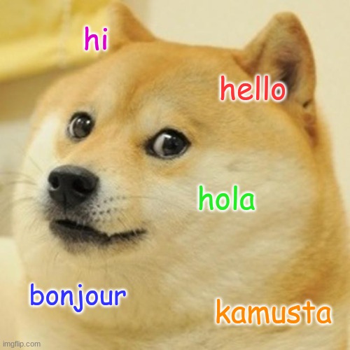 Doge | hi; hello; hola; bonjour; kamusta | image tagged in memes,doge | made w/ Imgflip meme maker