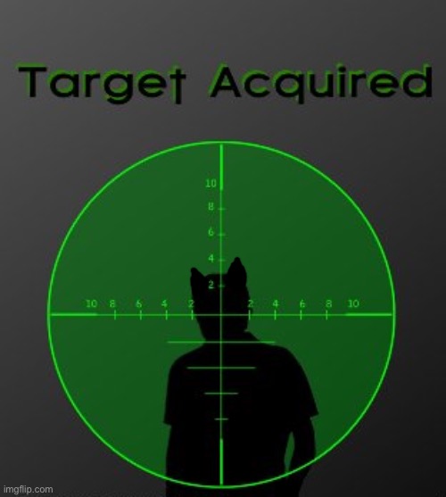 target acquired | image tagged in target acquired | made w/ Imgflip meme maker