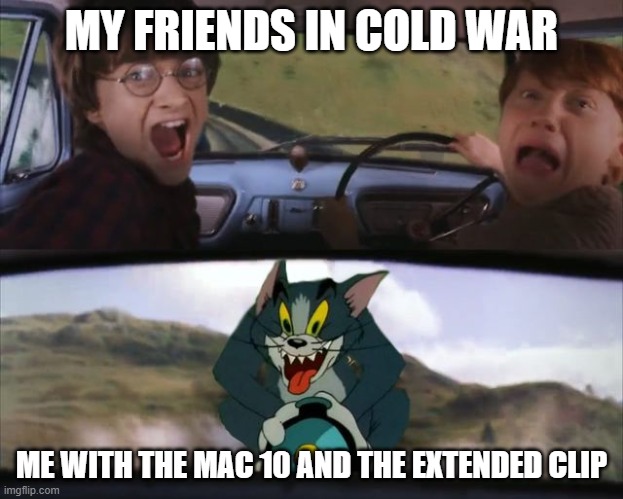 tom and harry potter | MY FRIENDS IN COLD WAR; ME WITH THE MAC 10 AND THE EXTENDED CLIP | image tagged in tom and harry potter | made w/ Imgflip meme maker