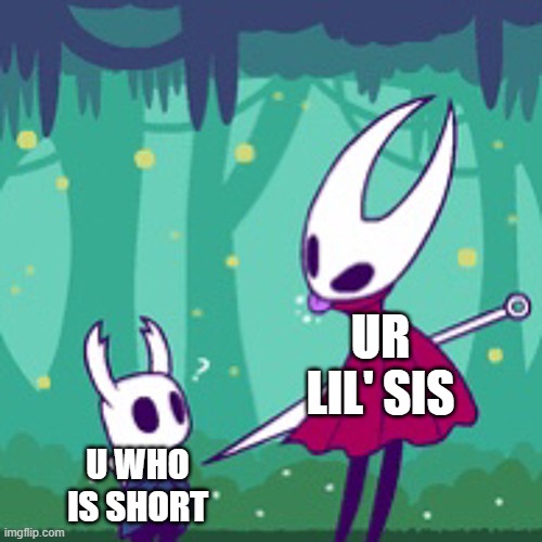 short stuf | UR LIL' SIS; U WHO IS SHORT | image tagged in hornet and hollow knight | made w/ Imgflip meme maker