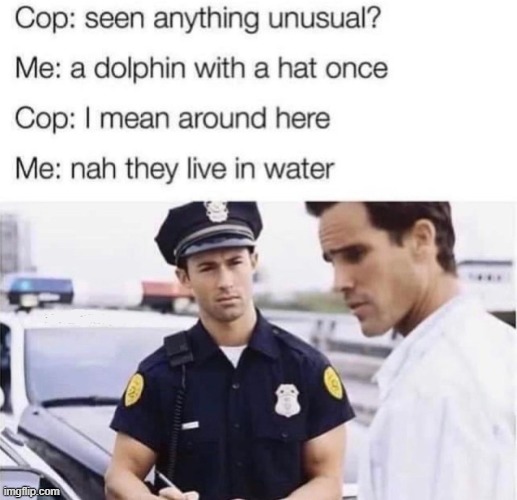 d | made w/ Imgflip meme maker