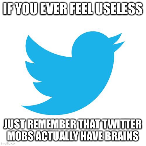 this is savage… | IF YOU EVER FEEL USELESS; JUST REMEMBER THAT TWITTER MOBS ACTUALLY HAVE BRAINS | image tagged in twitter birds says | made w/ Imgflip meme maker
