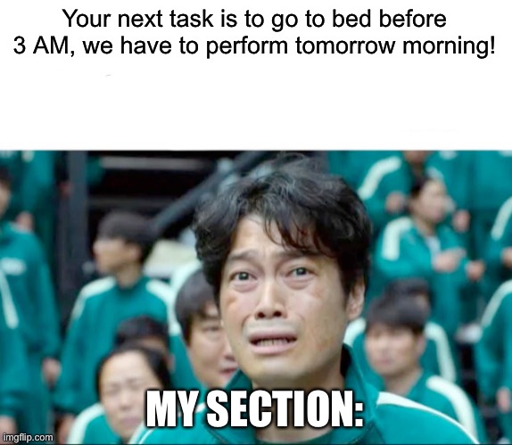Your next task is to- | Your next task is to go to bed before 3 AM, we have to perform tomorrow morning! MY SECTION: | image tagged in your next task is to- | made w/ Imgflip meme maker