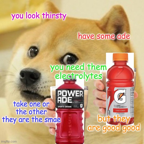 Doge Meme | you look thirsty have some ade you need them electrolytes take one or the other they are the smae but they are good good | image tagged in memes,doge | made w/ Imgflip meme maker