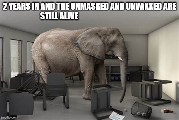 Elephant in the room |  2 YEARS IN AND THE UNMASKED AND UNVAXXED ARE STILL ALIVE | image tagged in unvaxxed,unmasked,fjb,trump2024,lgbfjb | made w/ Imgflip meme maker