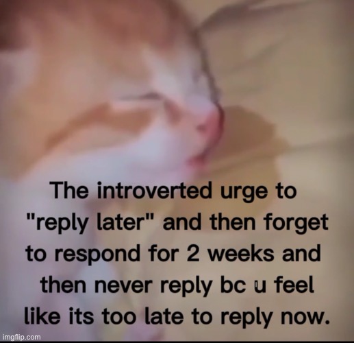 Literally me | made w/ Imgflip meme maker