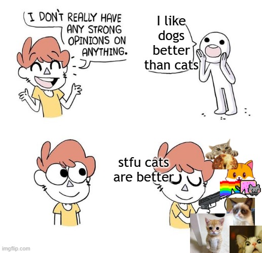 cats > dogs | I like dogs better than cats; stfu cats are better | image tagged in i don't really have strong opinions,cats,cat memes,cats are better than dogs | made w/ Imgflip meme maker