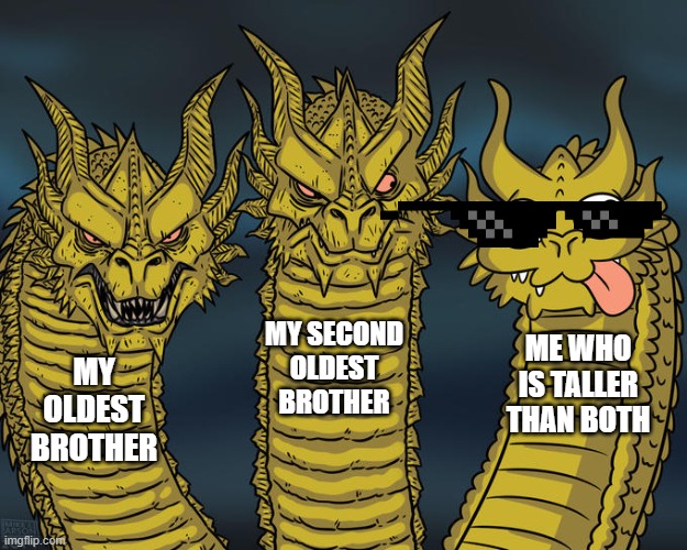 Three-headed Dragon | MY OLDEST BROTHER MY SECOND OLDEST BROTHER ME WHO IS TALLER THAN BOTH | image tagged in three-headed dragon | made w/ Imgflip meme maker