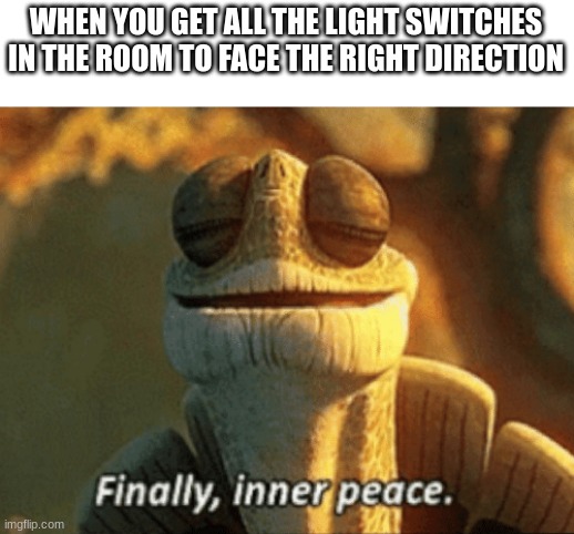 Finally, inner peace. | WHEN YOU GET ALL THE LIGHT SWITCHES IN THE ROOM TO FACE THE RIGHT DIRECTION | image tagged in finally inner peace | made w/ Imgflip meme maker