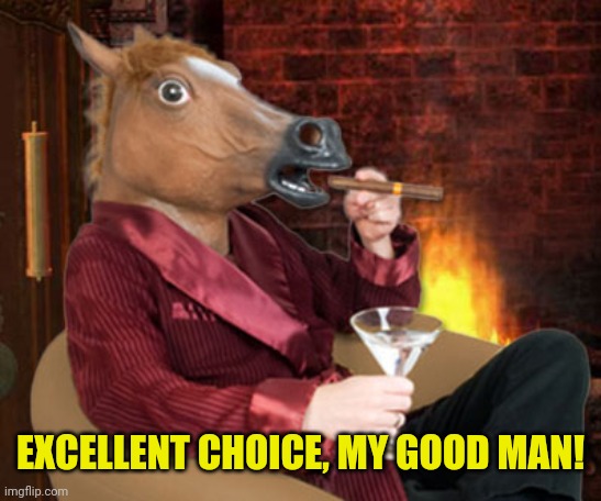 Horse head mask and now we wait | EXCELLENT CHOICE, MY GOOD MAN! | image tagged in horse head mask and now we wait | made w/ Imgflip meme maker