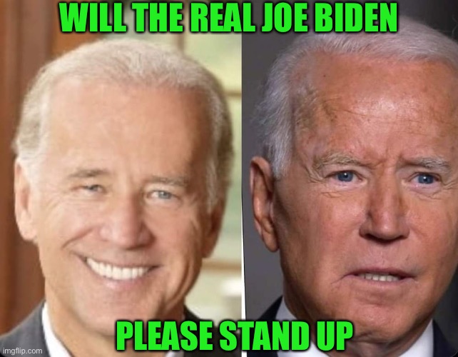 WILL THE REAL JOE BIDEN; PLEASE STAND UP | image tagged in joe biden | made w/ Imgflip meme maker