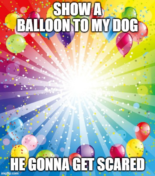 Show him a balloon and he wimpers | SHOW A BALLOON TO MY DOG; HE GONNA GET SCARED | image tagged in birthday ballons | made w/ Imgflip meme maker