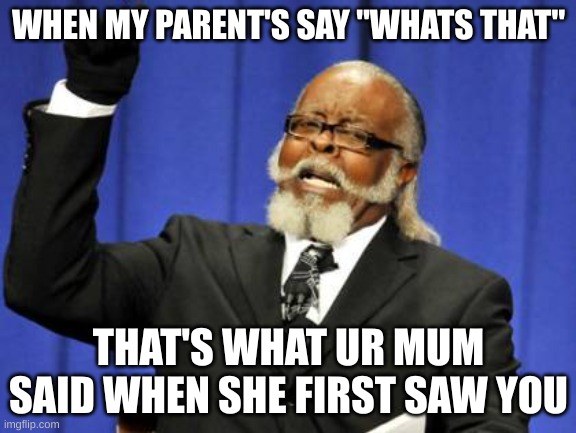 I am sorry but it is for the Meme Community and no offence | WHEN MY PARENT'S SAY "WHATS THAT"; THAT'S WHAT UR MUM SAID WHEN SHE FIRST SAW YOU | image tagged in memes,too damn high | made w/ Imgflip meme maker