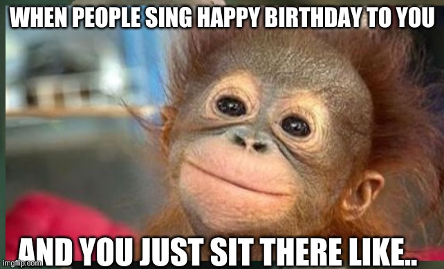 Birthday Meme | WHEN PEOPLE SING HAPPY BIRTHDAY TO YOU; AND YOU JUST SIT THERE LIKE.. | image tagged in funny memes | made w/ Imgflip meme maker