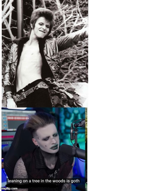 david bowie is my favorite goth single | image tagged in they both look so good in those photos,lowkey jealous of them both,david bowie,jake munro,goth | made w/ Imgflip meme maker