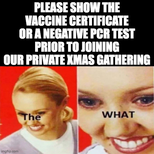 vaccine certificate | PLEASE SHOW THE VACCINE CERTIFICATE OR A NEGATIVE PCR TEST PRIOR TO JOINING OUR PRIVATE XMAS GATHERING | image tagged in the what,vaccine certificate,covid-19,vaccines,pfizer | made w/ Imgflip meme maker