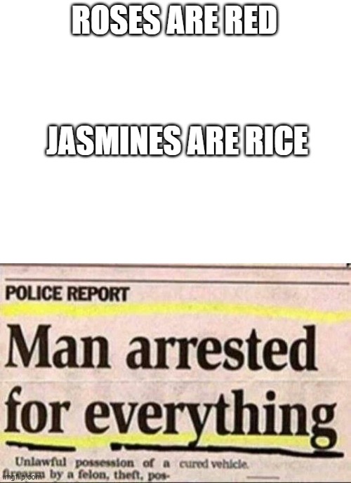 Very interesting... | ROSES ARE RED; JASMINES ARE RICE | image tagged in blank white template,arrested,roses are red | made w/ Imgflip meme maker