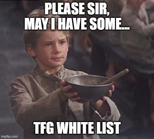 Please sir may I have some more | PLEASE SIR, MAY I HAVE SOME... TFG WHITE LIST | image tagged in please sir may i have some more | made w/ Imgflip meme maker